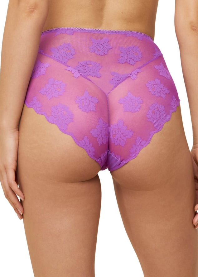 Culotte Taille Haute Triumph Blueberry Cream